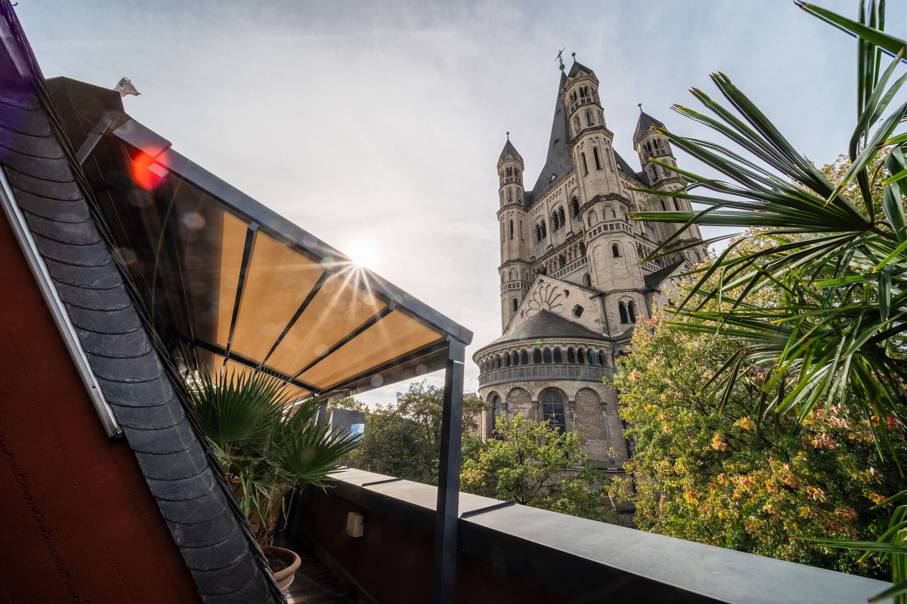 Dachgarten mit Palmen & Rooftop-Bar | Rheinloft Cologne Galerie ...