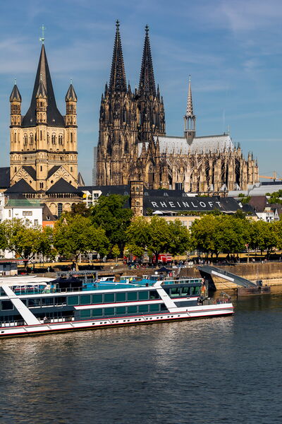 Dachgarten mit Palmen & Rooftop-Bar | Rheinloft Cologne Galerie ...